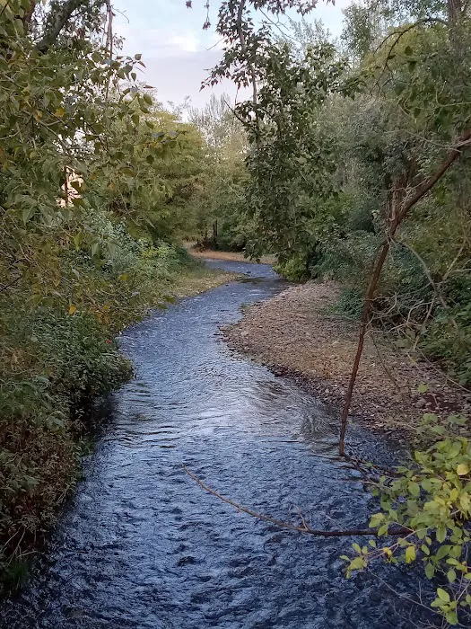 Harris Park 4