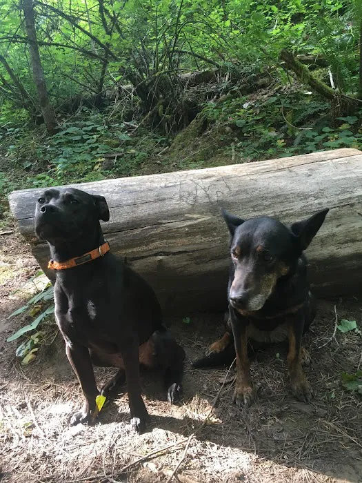 Umatilla Forks Campground 4