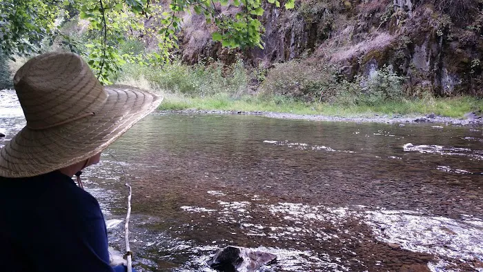 Umatilla Forks Campground 7