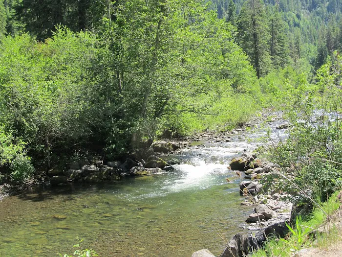 Umatilla Forks Campground 0