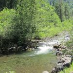 Umatilla Forks Campground