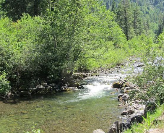 Umatilla Forks Campground