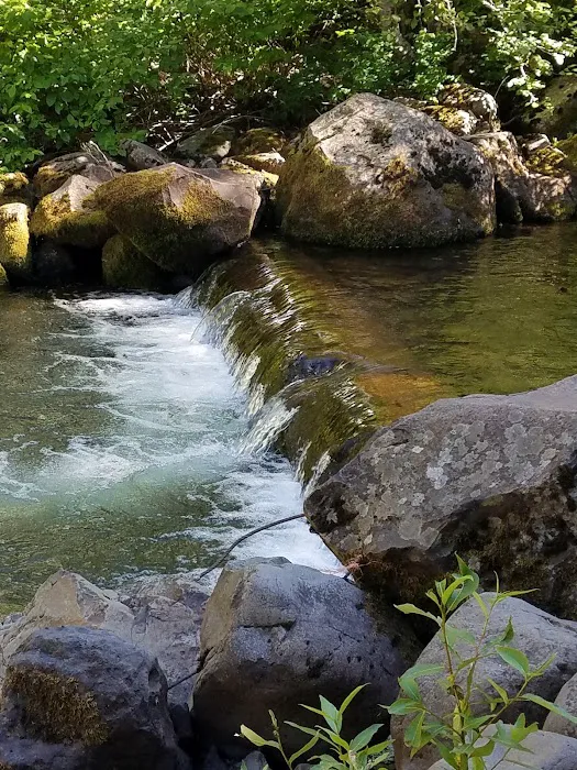 South Fork Campground 2