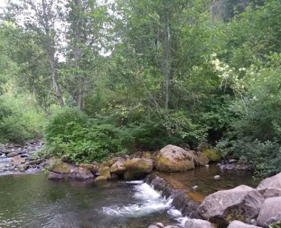 South Fork Campground