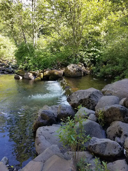 South Fork Campground 1
