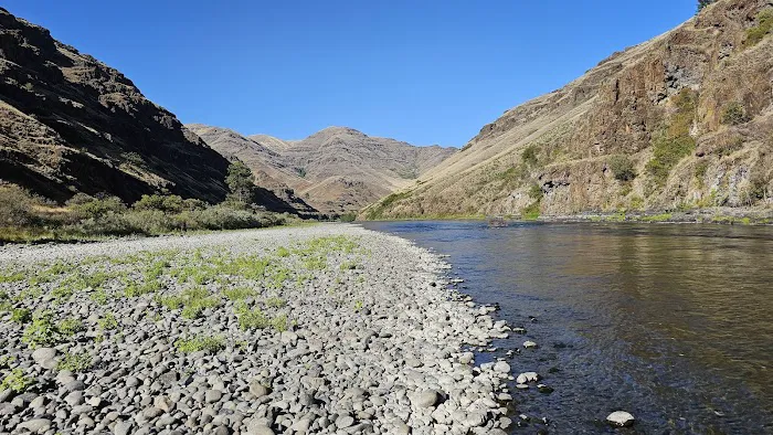 Snyder Bar 0