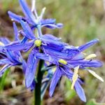 Indian Lake Campground