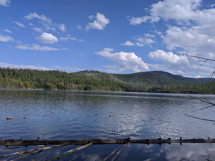 Olive Lake Campground 7