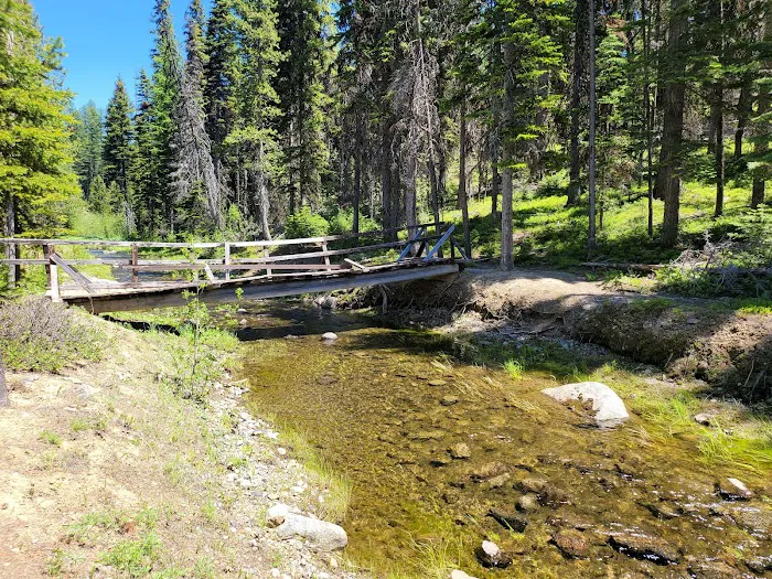 Olive Lake Campground 6