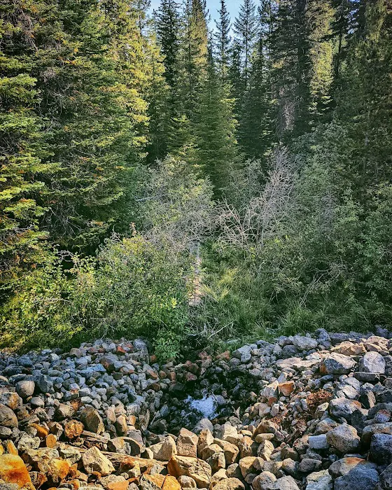 Olive Lake Campground 4