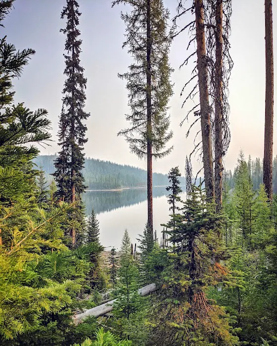 Olive Lake Campground 9