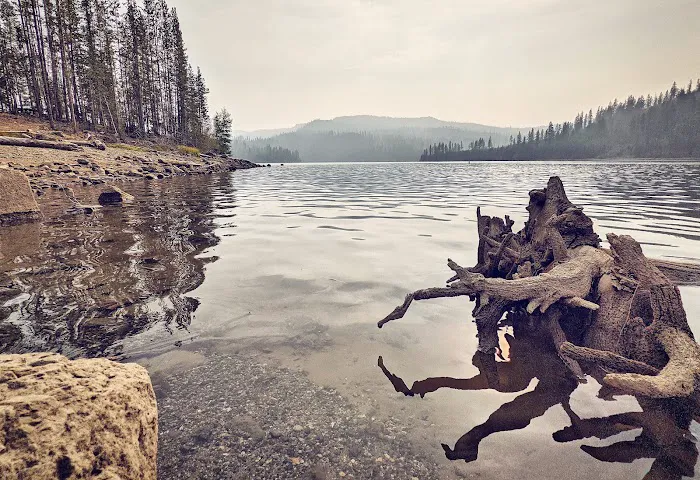 Olive Lake Campground 0