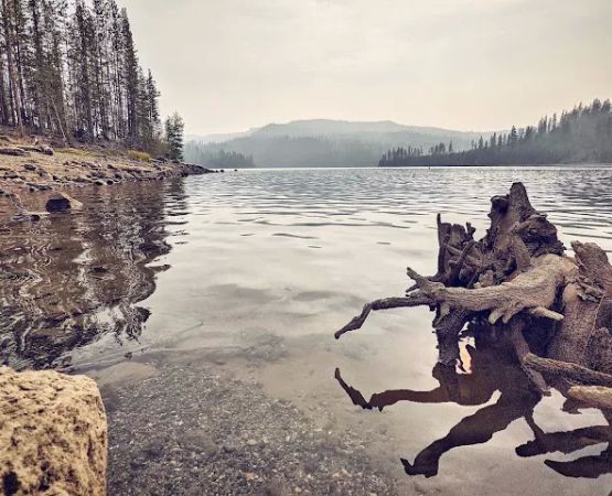Olive Lake Campground