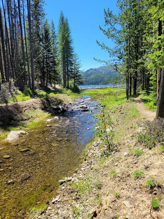 Olive Lake Campground 3