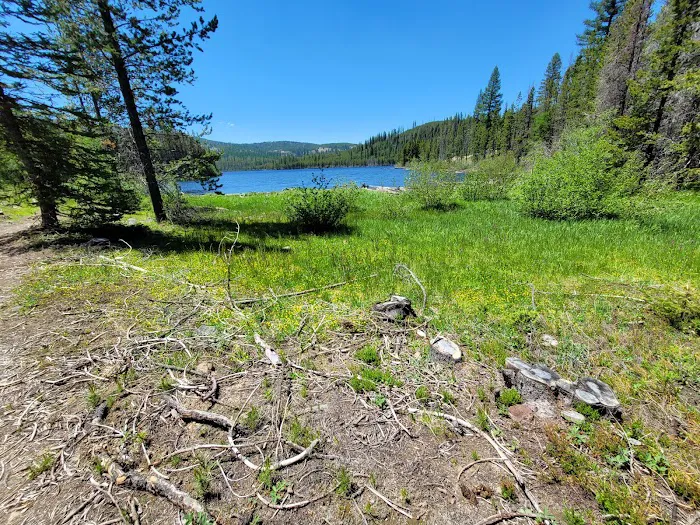 Olive Lake Campground 2