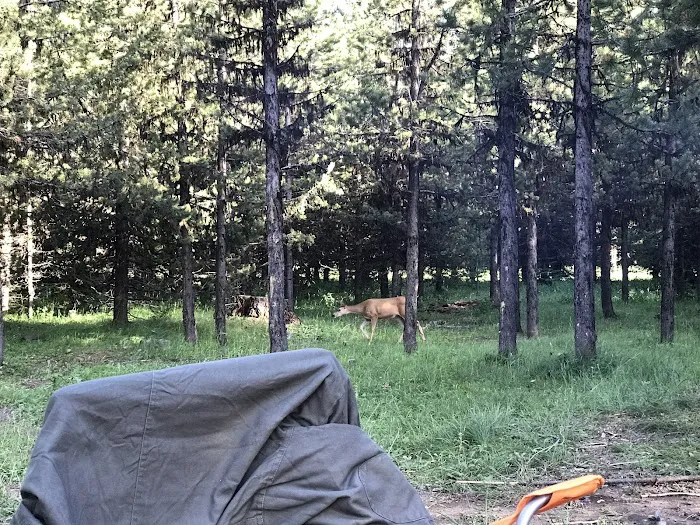 Coalmine Hill Campground 1