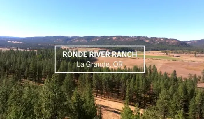 R.R Ranch 🌲 2