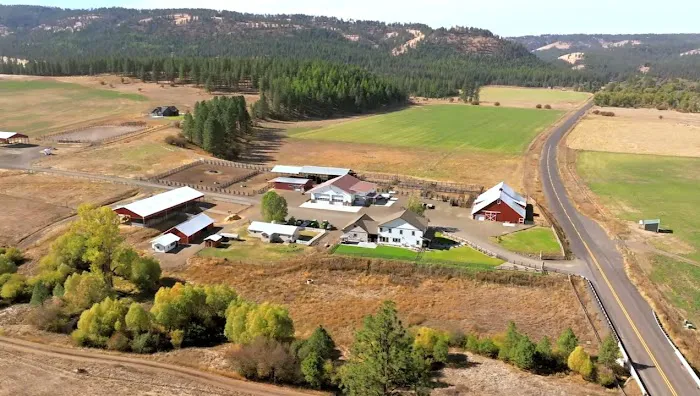 R.R Ranch 🌲 0