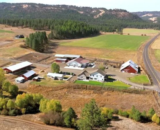 R.R Ranch 🌲