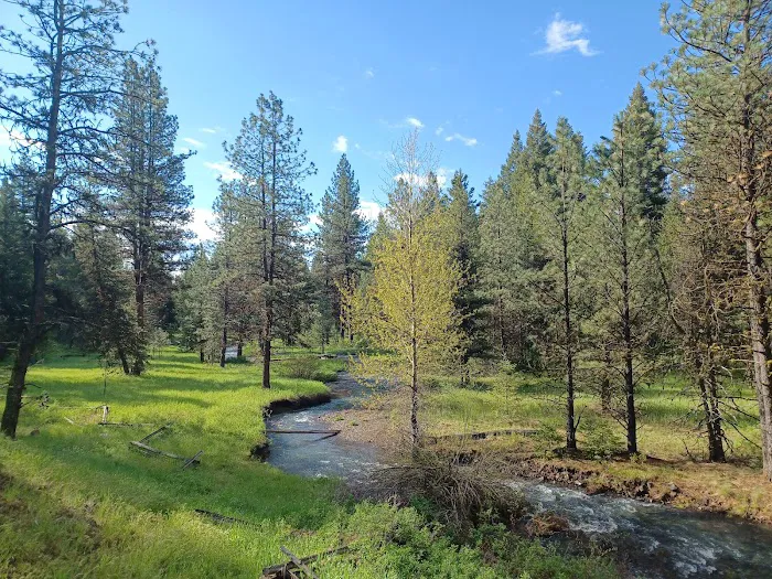 Spring Creek Campground 0