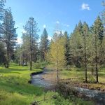 Spring Creek Campground