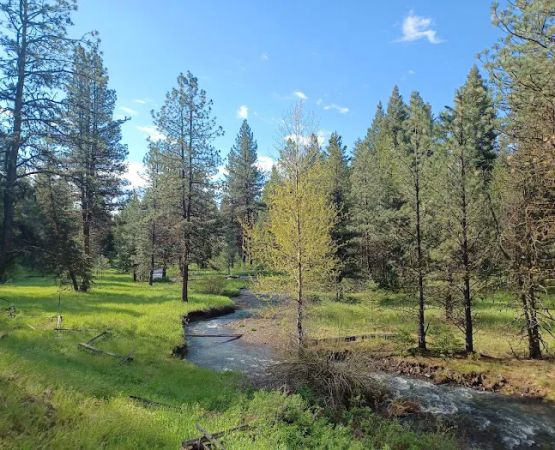 Spring Creek Campground