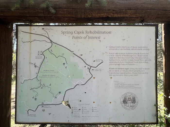 Spring Creek Campground 1