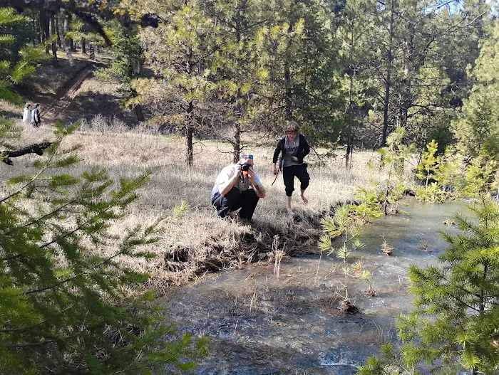 Spring Creek Campground 2