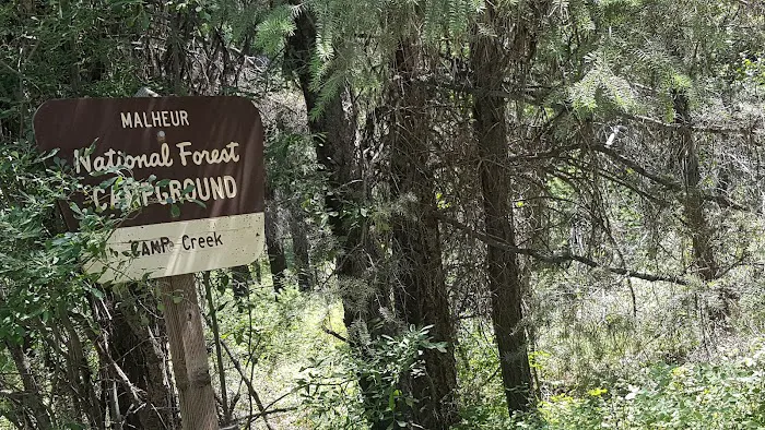 Lower Camp Creek Campground 4