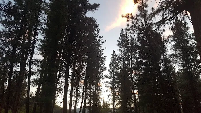 Lower Camp Creek Campground 6