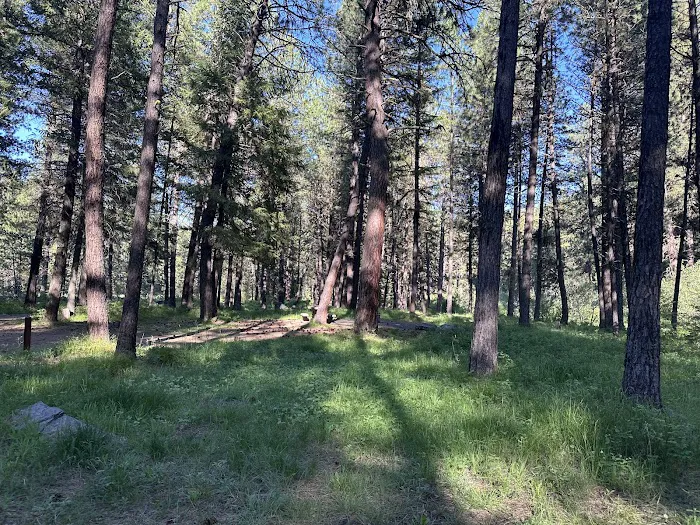 Middle Fork Campground 6