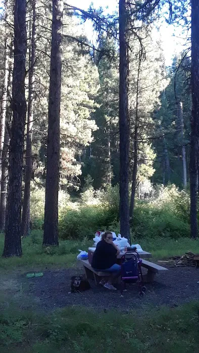 Middle Fork Campground 5