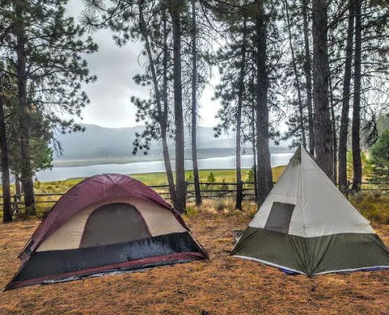 Millers Lane Campground