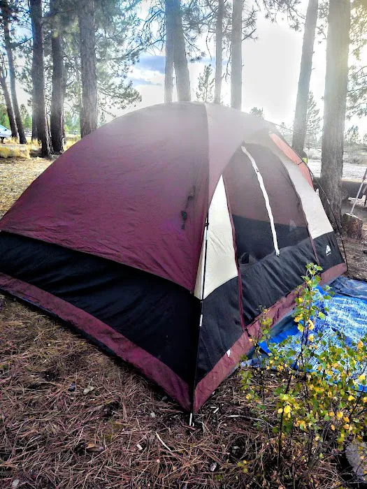 Millers Lane Campground 8