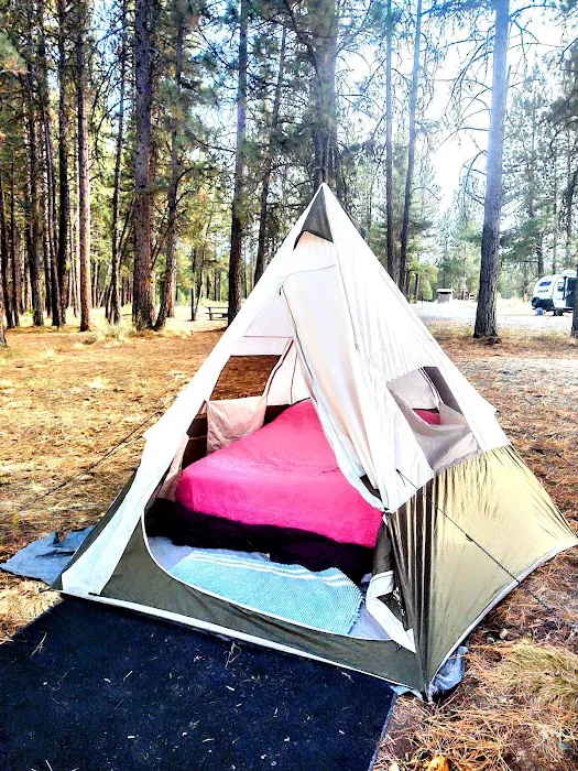 Millers Lane Campground 6