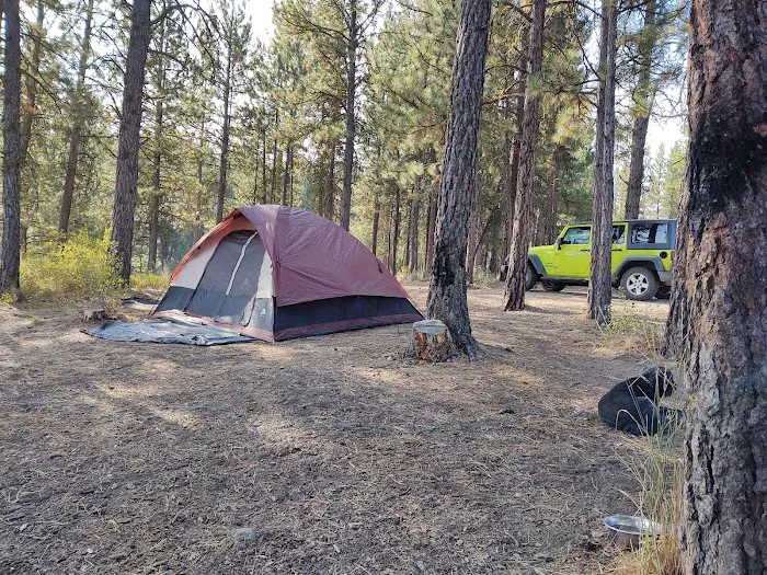 Millers Lane Campground 7