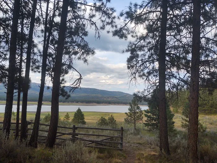 Millers Lane Campground 5
