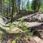 Union Creek Campground