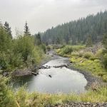 Yellow Pine Campground