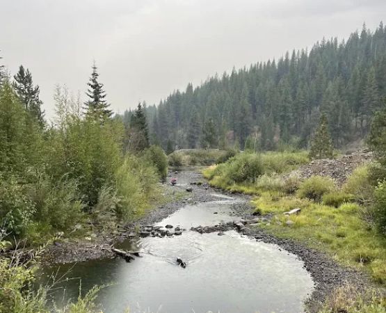 Yellow Pine Campground