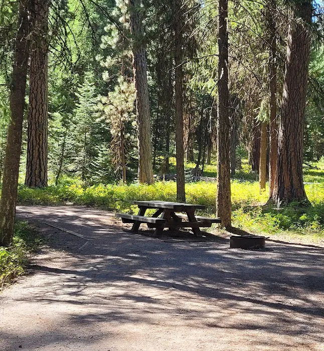 Yellow Pine Campground 4