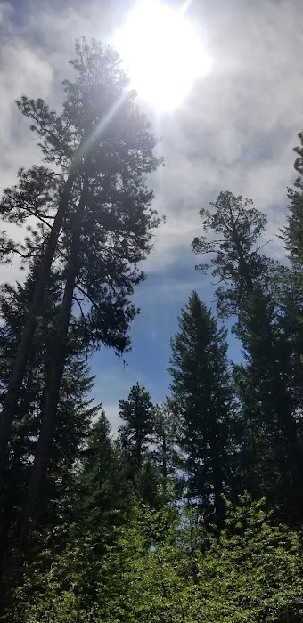Wetmore Campground 5