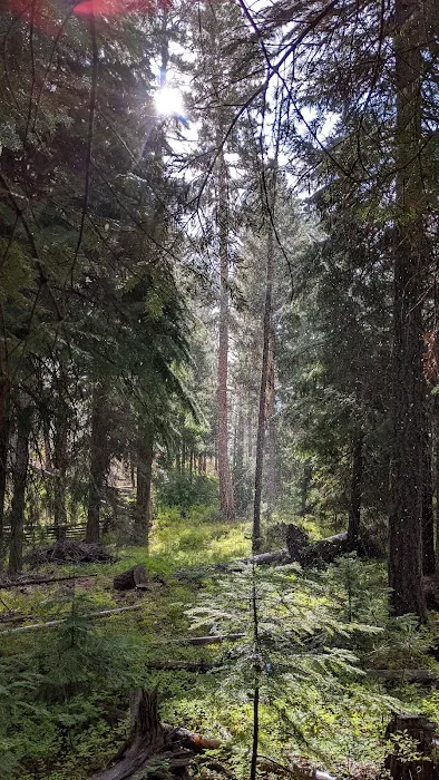 Wetmore Campground 7