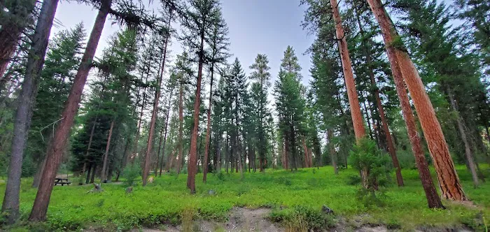 Wetmore Campground 4