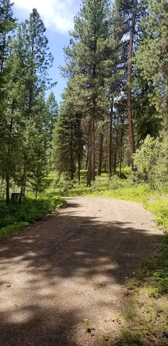 Wetmore Campground 8