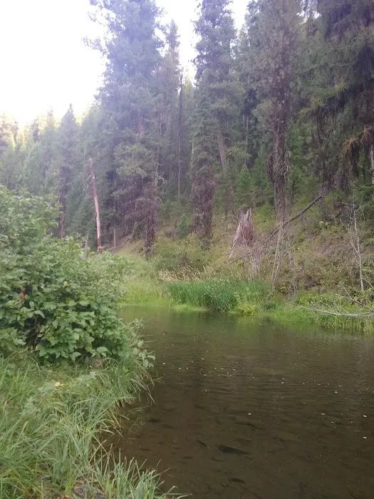 Deerhorn Campground 0