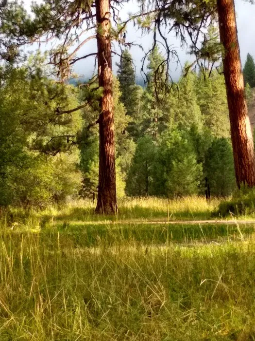 Deerhorn Campground 2