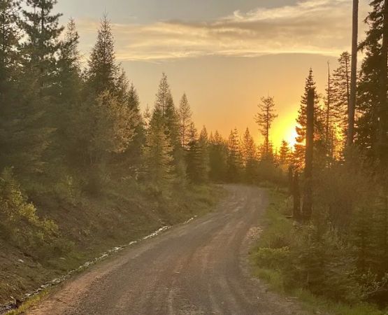 Fox Hill Campground