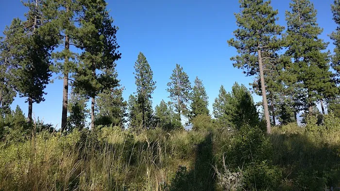 Fox Hill Campground 3