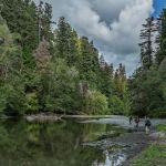 Redwood Creek Dispersed Camping